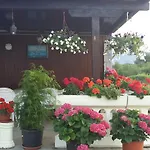 Lucija Linardici