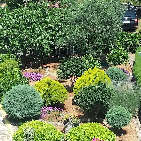 Lucija