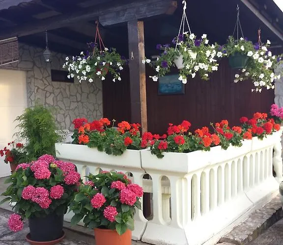 Lucija Linardići