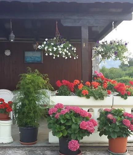 Lucija Linardići